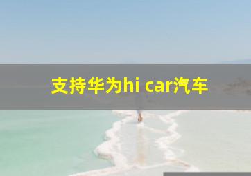 支持华为hi car汽车